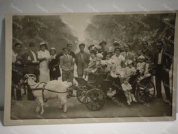 Postcard To Identify France Or Germany ? Little Cart With Children Pulled By Goats. - Other