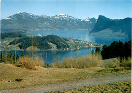 Blick Auf Die Horwer Halbinsel Mit Rigi Und Bürgenstock * 9. 7. 1988 - Horw