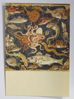 Napoli Museum National Pompeii Mosaic  Sea Creatures, Octopuses - Museum