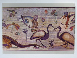 Napoli Museum National Pompeii Mosaic  Animals In The Nile - Museum