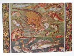 Napoli Museum National Pompeii Mosaic  Fish, Sea Animals, Octopus - Museum