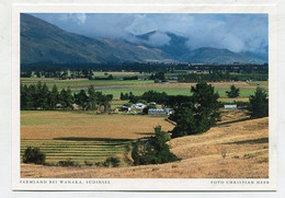 AK 072223 NEW ZEALAND - Farmland Bei Wanaka - Südinsel - New Zealand