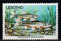 LESOTHO - 1977 - Oreodaimon Quathlambae - MNH - Lesotho (1966-...)