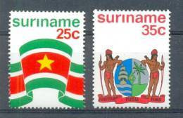 Mop0017 VLAG EN WAPEN FLAG BANNER AND WEAPON SURINAME 1976 PF/MNH - Surinam