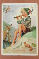 Old Germany Postcard 1930s Artist Signed Ak Dörfel. Horn Serie Kinderlust. Forest Concert Flute, Lizard, Squirrel, Frog - Games & Toys
