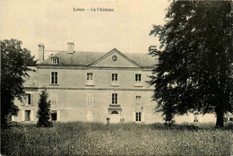 Lison * Vue Sur Le Château - Autres & Non Classés