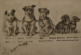Div. Honden - Dogs - Chien (Tekkel - Dachshund) 1908 - Dogs