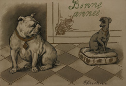 Div. Honden - Dogs - Chien (Tekkel - Dachshund And Bull) 1906 Embossed - "Prage - Hunde