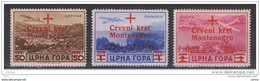 MONTENEGRO - OCCUPAZIONE  TEDESCA:  1944  P.A.  SOPRASTAMPATI  -  S. CPL. 3  VAL. N. -  SASS. A 9/A 11 - Ocu. Alemana: Montenegro