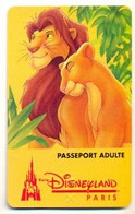 Disneyland Paris Ticket, Usagé, Used Condition. # Dtp-4 - Pasaportes Disney