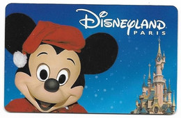 Disneyland Paris Ticket, Usagé, Used Condition. # Dtp-10 - Toegangsticket Disney