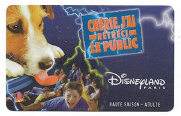 Disneyland Paris Ticket, Usagé, Used Condition. # Dtp-11 - Passaporti  Disney