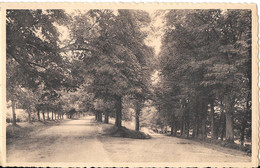 MARCHE-EN-FAMENNE - Promenade Du Monument - Marche-en-Famenne