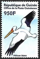 Guinea (Guinée) - MNH ** 2002 :    Great White Pelican  - Pelecanus Onocrotalus - Pelicans