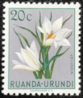 Ruanda-Urundi - C10/52 - MH - 1949 - Michel 135 - Inheemse Flora - Unused Stamps