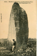 Brignogan * Environs * Menhir De Mesnéan En Plounéour Trez * Monolithe - Brignogan-Plage