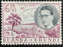 Ruanda-Urundi - C10/53 - (°)used - 1955 - Michel 155 - Koning Boudewijn En Landschappen - Usados