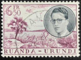 Ruanda-Urundi - C10/53 - (°)used - 1955 - Michel 155 - Koning Boudewijn En Landschappen - Oblitérés