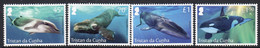 Tristan Da Cunha 2019 Baleen Whales Set Of 4, MNH - Tristan Da Cunha