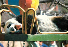 Animaux - Panda - Giant Panda - Chine - China - CPM - Carte Neuve - Voir Scans Recto-Verso - Other & Unclassified