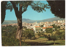 1986 AGNONE 3   ISERNIA - Isernia