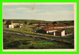 SAIDA, ALGÉRIE - CAMP DES CHASSEURS -  PHOTO, A. BENAYOUN - - Saida