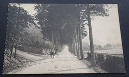 Rochefort - Promenade Du Thiers Des Falizes - Ern. Thill, Bruxelles, Série 11, N° 26 - Rochefort