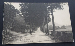 Rochefort - Promenade Du Thiers Des Falizes - Ern. Thill, Bruxelles, Série 11, N° 26 - Rochefort