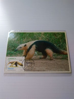 Paraguay Maximun Upaep 93.anteater Bear Aarvard Unique.popmk On Local Postcard Better.reg Post E 7 Conmems 1 Or 2 Cards - Paraguay