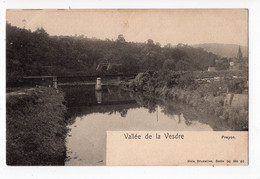 NELS Série 96 N° 40  - Vallée De La Vesdre - PRAYON - Trooz