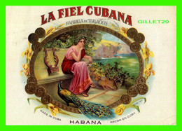 HAVANA, CUBA - LA FIEL CUBANA, FABRIGA DE TABAGOS - TRAVEL - LA LEGITIMA TRADICION DE LOS HABANOS - - Cuba