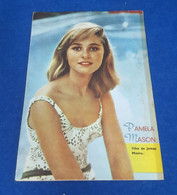 PAMELA MASON COMICS PORTUGAL MAGAZINE ZORRO 1964 - Magazines