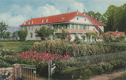 Chalet Du Sanatorium Du Léman Gland 1914 - Gland