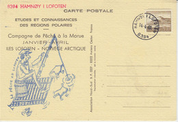Norway 1981 Campagne De Peche à La Morue / Lofoten Postcard Ca Hamnoy I Lofoten 14-4-1981 (NW205) - Forschungsprogramme