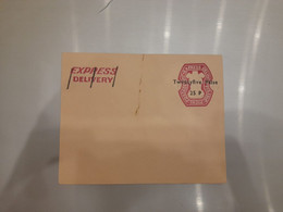 India Express Delivery Envelope With Overprint MINT - Unclassified