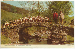 Coniston Foxhounds On Sweden Bridge, Ambleside - Ambleside