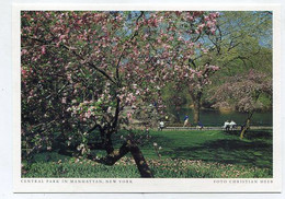 AK 072422 USA - New York City - Central Park In Manhattan - Central Park