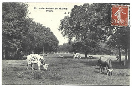 LE VESINET - Asile Nationale - Prairie - Le Vésinet