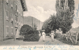 Château D'Oex Promenade De La Ray 1908 Animée - VD Vaud