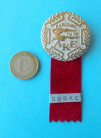 1979 EUROPEAN CUP (ATHLETICS) B Final - Large Participant Badge JUDGE Coupe D'Europe D'athlétisme Athletik Atletismo - Atletiek