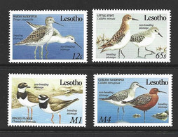 Lesotho 1989 Migrant Breeding Birds Set Of 4 MNH - Lesotho (1966-...)
