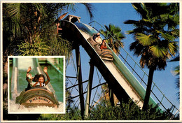 Florida Tampa Busch Gardens Stanley Rapids Flume Ride - Tampa