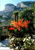 (2 G 29) Monaco - Jardin Exotique - Castus In Flowers - Cactus