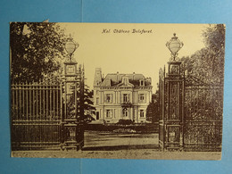 Hal Château Delafiret - Halle