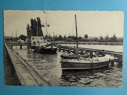 CPSM Lixhe Ecluse Et Canal Albert - Wezet