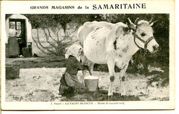 Publicité - Grands Magasins De La SAMARITAINE Rues De Rivoli Et Du Pont-Neuf - Traite D'une Vache - Fine Typographie - Koeien