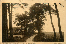 Les Moutiers En Retz * Allée Des Pins - Les Moutiers-en-Retz