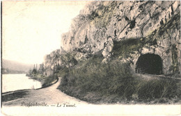 CPA-Carte Postale  Belgique Profondeville Le Tunnel Début 1900  VM53965 - Profondeville