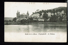 CPA-Carte Postale  Belgique Profondeville Le Château  Début 1900VM53967-1 - Profondeville