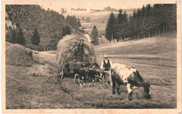 CPA-Carte Postale   Belgique Houffalize Paysage Ramassage Du Foin   VM53997 - Houffalize